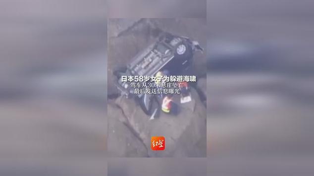 日本女子躲海啸驾车从30米悬崖坠亡