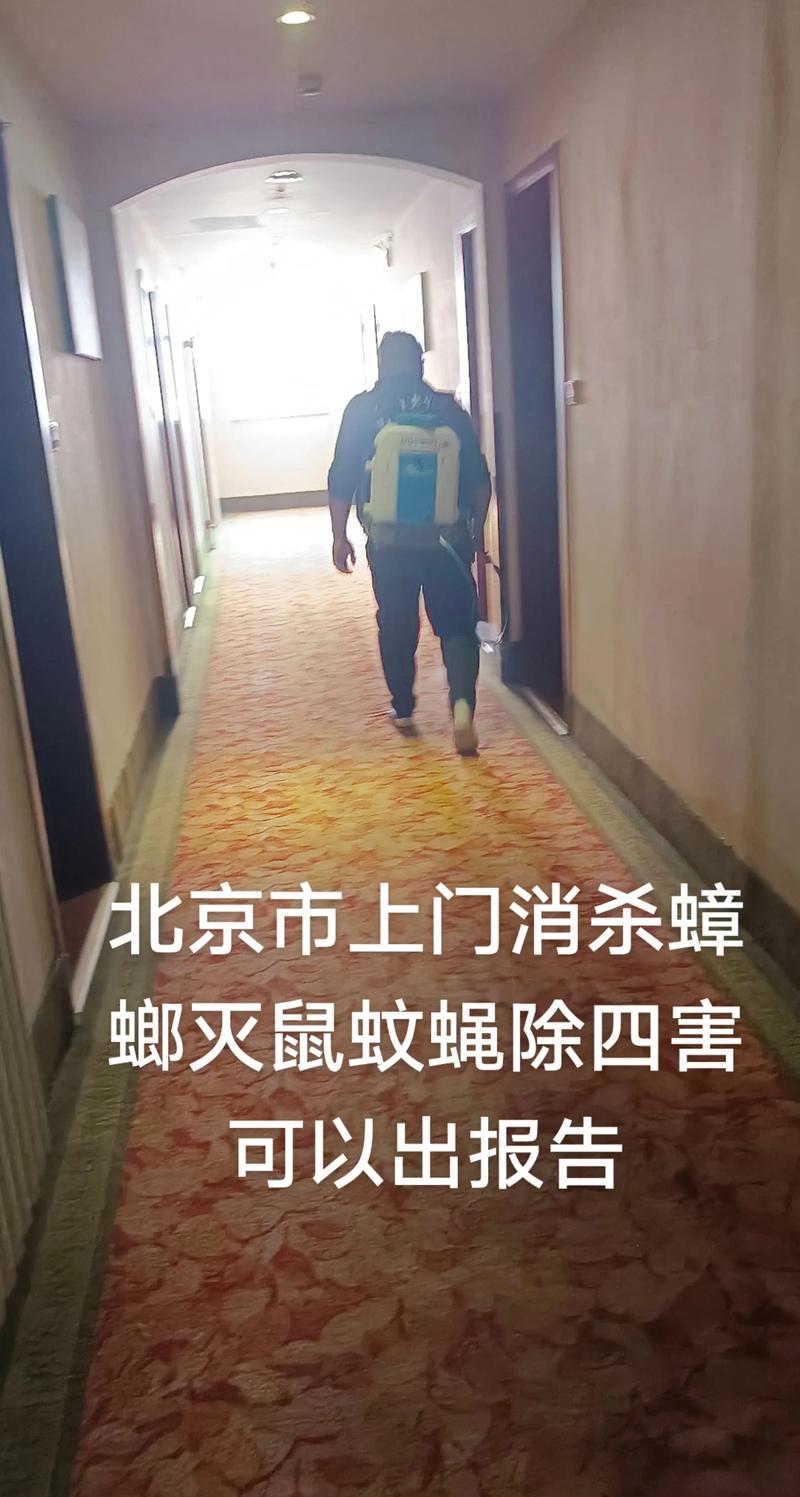广东灭蚊next level:放蚊子吃蚊子