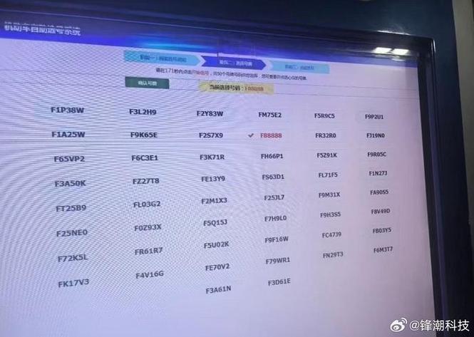 女车主摇中88888车牌 有人出价110万