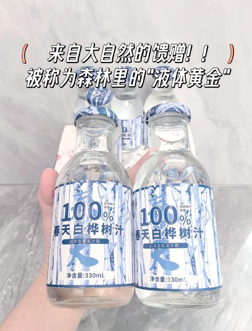 白桦树汁变身“液体黄金”
