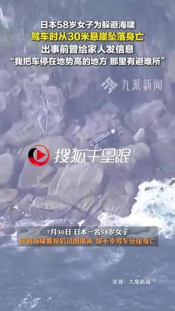 日本女子海啸逃生失败，驾车坠崖身亡