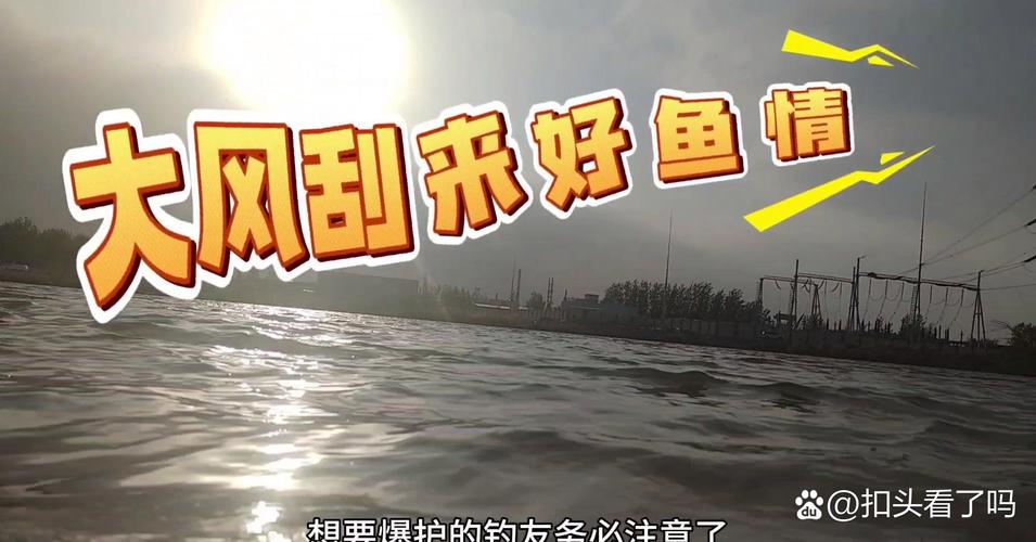 台风“竹节草”过境 鱼群被冲上马路