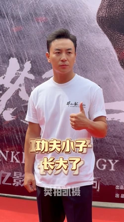 释小龙父亲任职的少林武校遭遇执行行动
