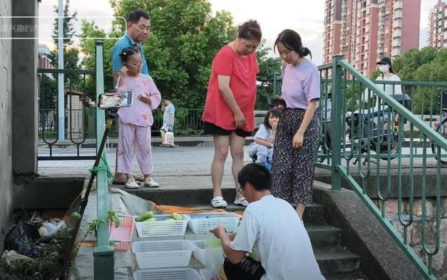 上海卖菜网红回应摊位被劝离事件