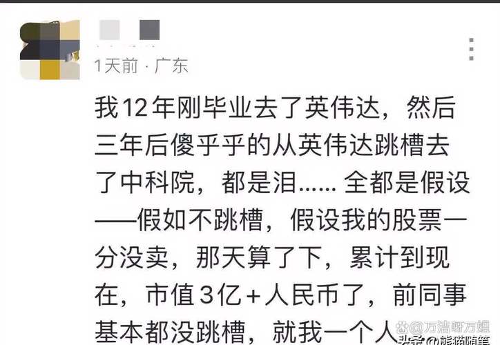 人民日报评论，英伟达的可信度问题探讨