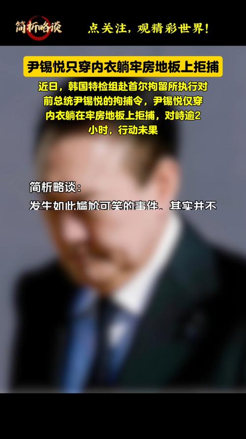 尹锡悦拒捕事件，仅穿内衣躺牢房地板上引发关注