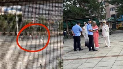 女子报警硬刚清晨5点广场舞