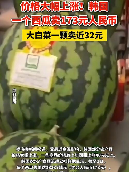 韩国农产品价格飙升，天价西瓜达173元
