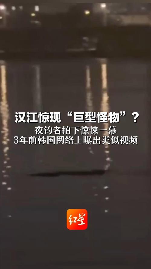 汉江惊现巨型神秘生物？夜钓者揭秘惊悚瞬间