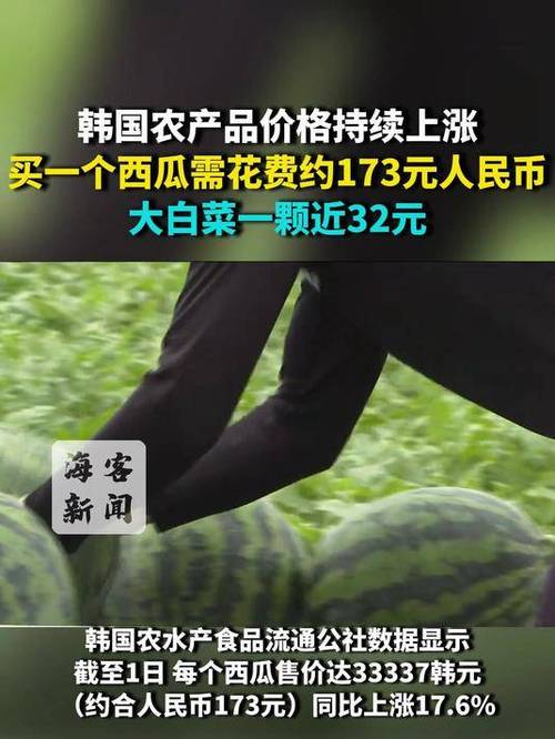 韩国农产品价格上涨 1个西瓜173元