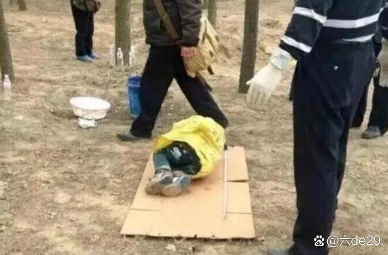小孩多次甩飞捶打小猫致死