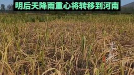 河南局地遇旱 土地干到铁锹挖不动