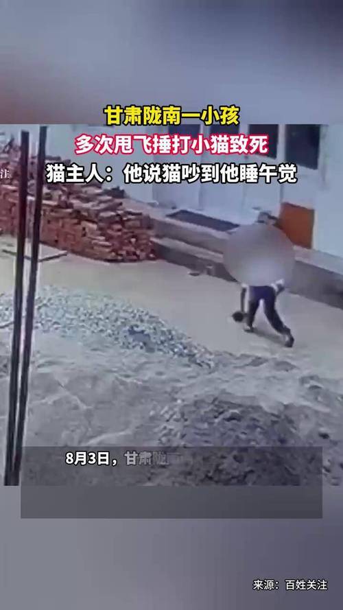 小孩多次暴力捶打小猫致死事件曝光