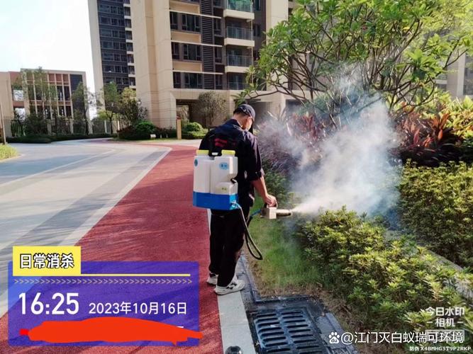 广东连日暴雨 蟑螂集体“搬家”