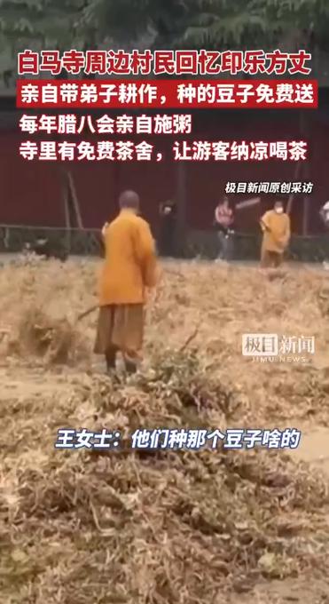 实探白马寺，免费茶水与闲地玉米种植