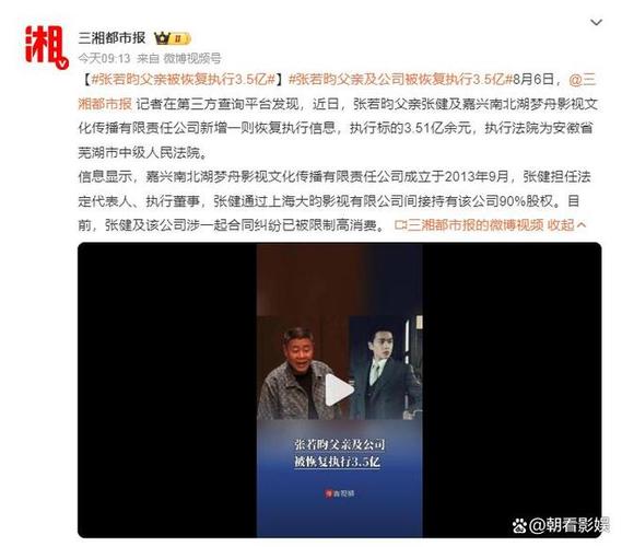 张若昀父亲被强制执行3.5亿，背后的真相揭秘