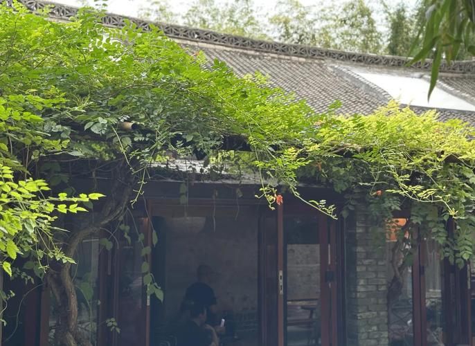 实探白马寺：有免费茶水 闲地种玉米