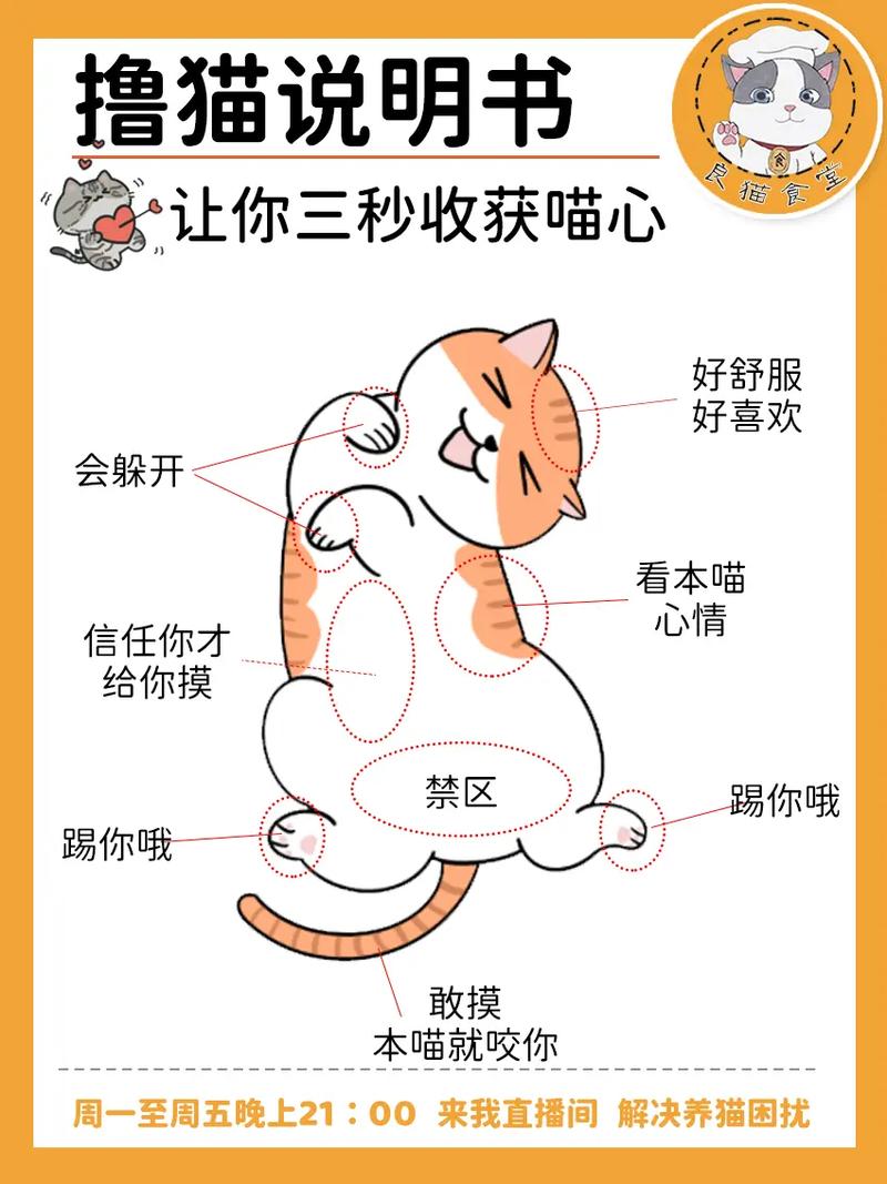大学志愿 我填了“专业撸猫”