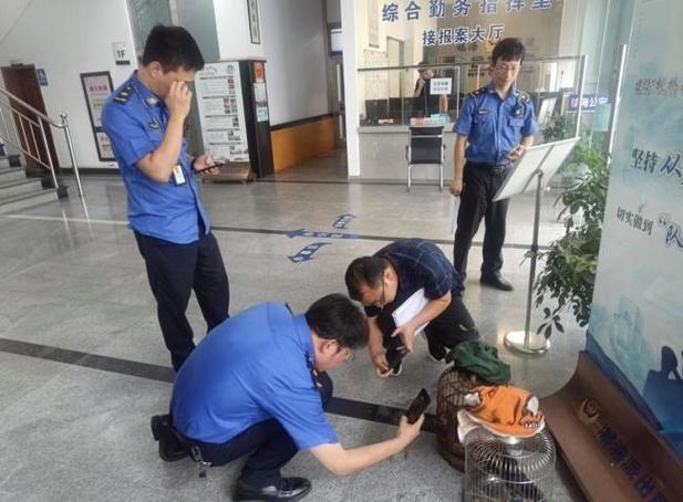 宁波市民家中养画眉鸟遭立案调查