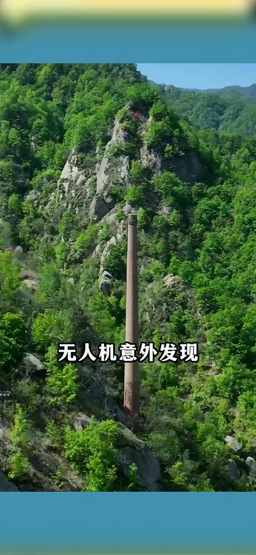 女子在东京大学烟囱坠亡 友人发声