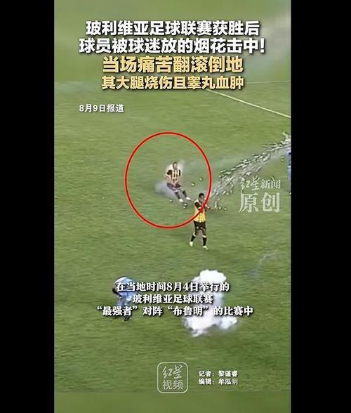 玻利维亚足球联赛球员遭烟花袭击事件