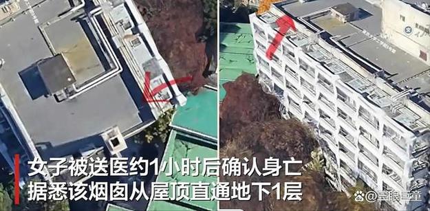 东京大学烟囱女子坠亡事件，友人发声悼念