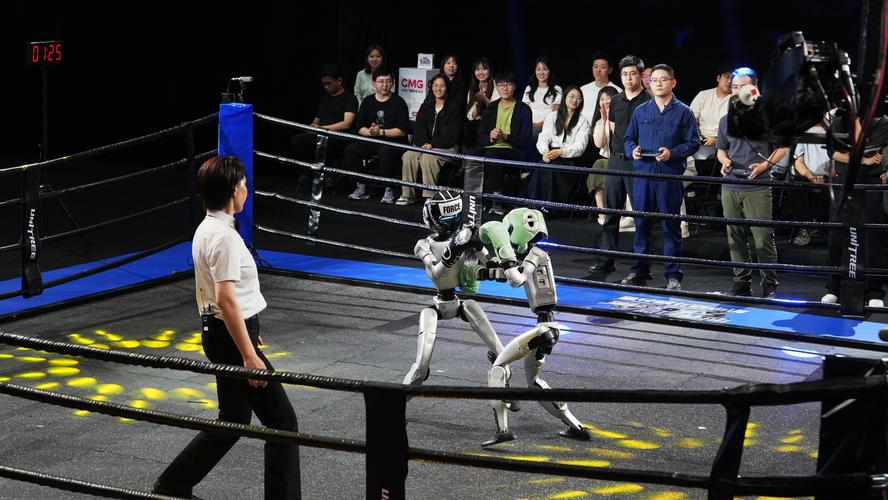 拳击机器人现场打醉拳