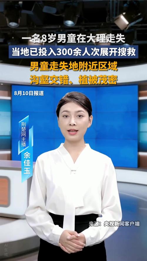 大理走失男童搜救进度官方通报，全力以赴搜救进行中