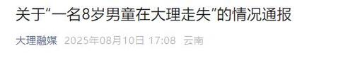 官方通报搜救大理走失8岁男童进度