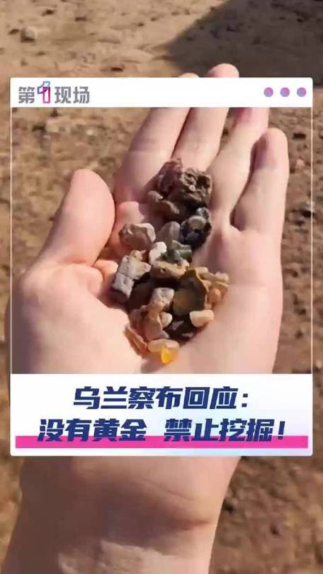 乌兰察布景区黄金挖掘真相揭秘，官方回应来了