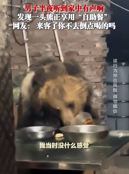 西藏林芝一村民被黑熊袭击 当地回应