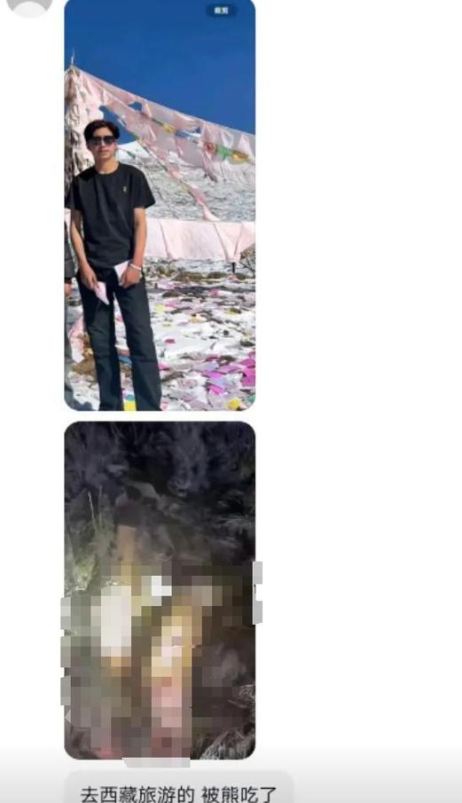 西藏林芝一村民被黑熊袭击 当地回应