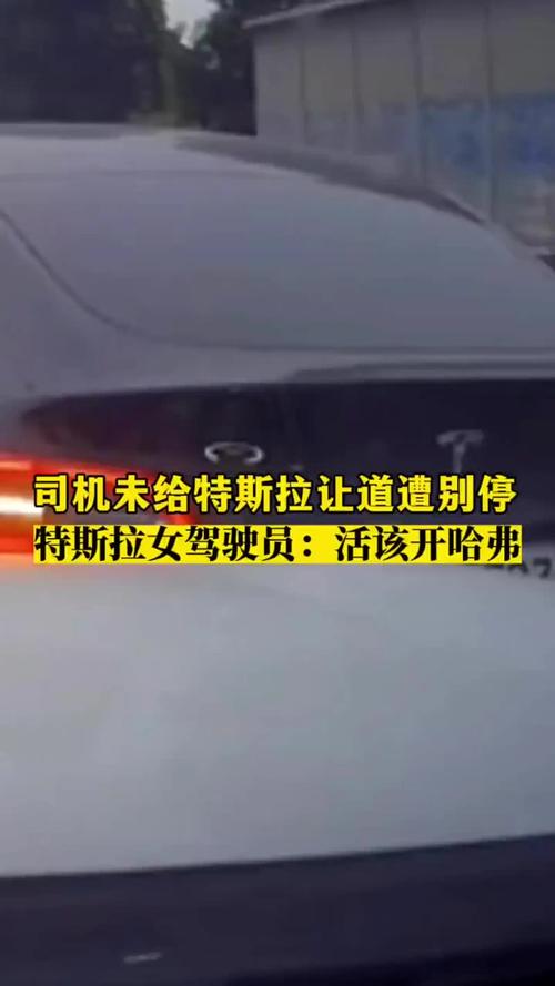 特斯拉司机持刀伤人？男子造谣被拘