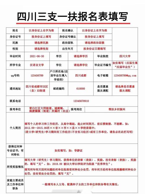 大学生考上三支一扶，向市长递交简历的成果