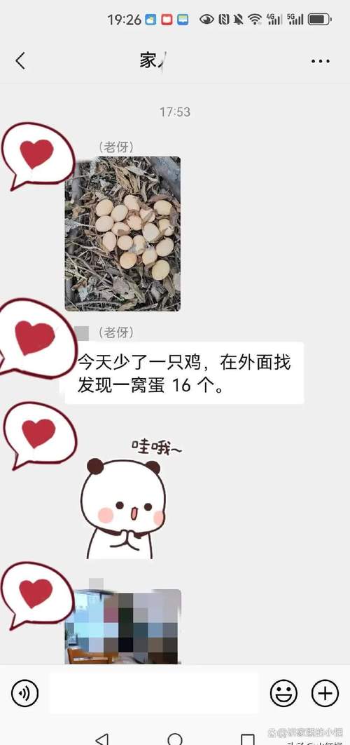 “吃鸡蛋事件”事发地成谜