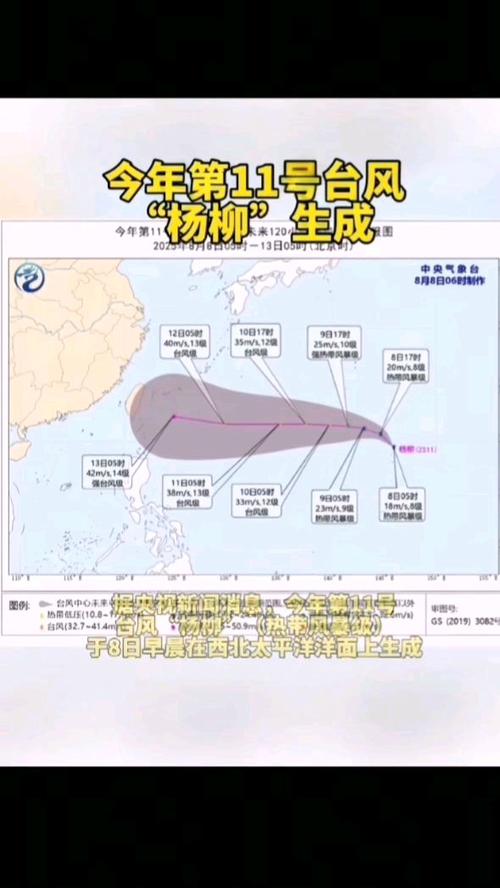杨柳台风预计成今年登陆中国最强台风