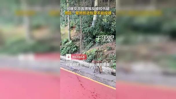 贵州女游客被猴子踢倒骨折