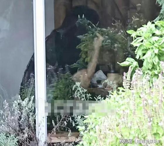言承旭现身大S墓地悼念