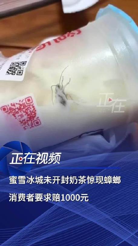 奶茶有蟑螂 蜜雪冰城被要求赔1000元