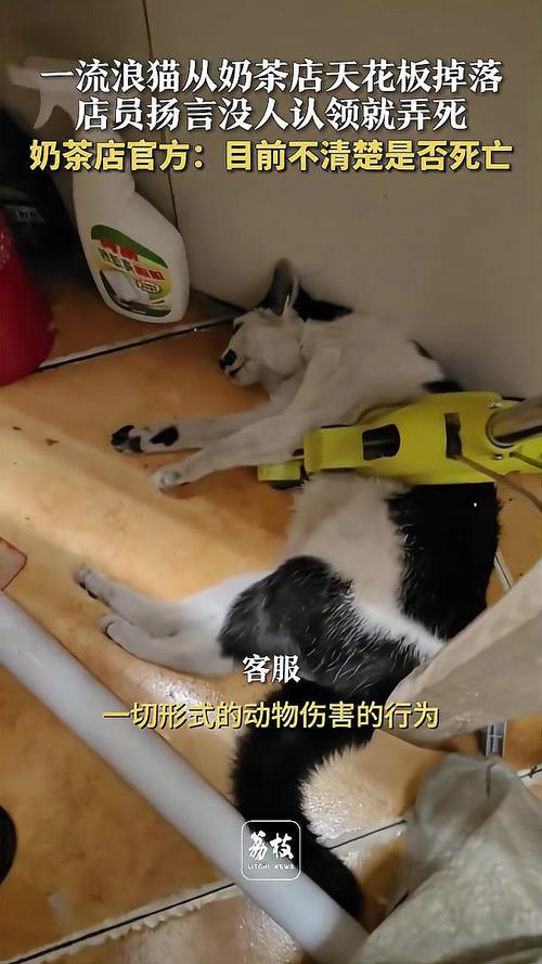 奶茶店天花板崩塌致员工不幸身亡