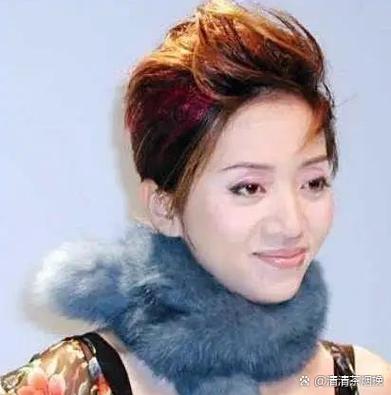 向太揭秘，两次英勇救出梅艳芳，力挫黑社会势力