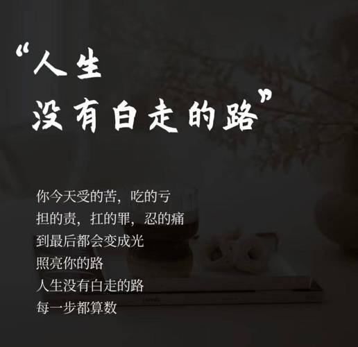 有些好笑的来时路每走一步也算数