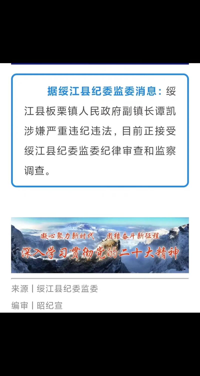 主动投案的谭队长 牵出系统性腐败