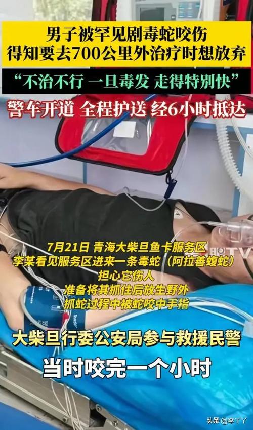 男子毒蛇咬伤自救经历，紧急拦车救治险象环生