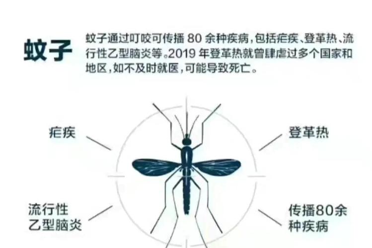 全球“最毒”的蚊子为何批量北上