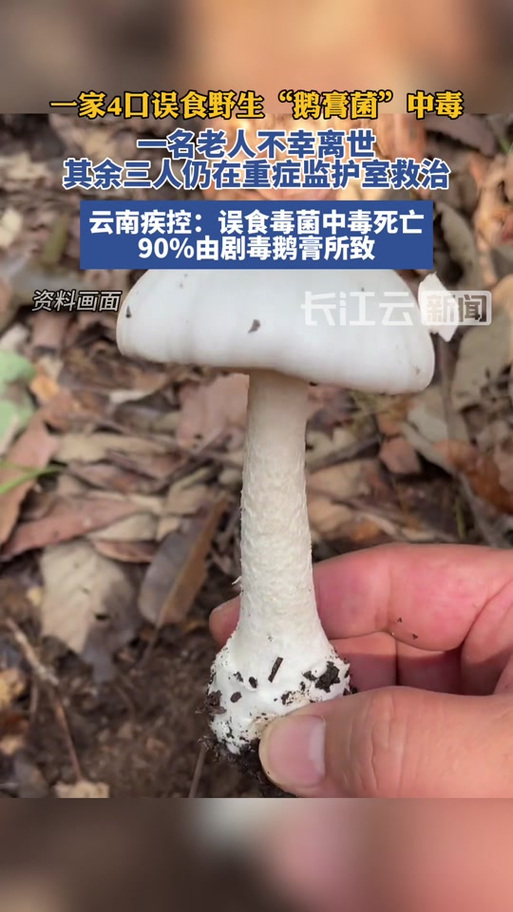 一家九口食用鹅膏菌中毒事件