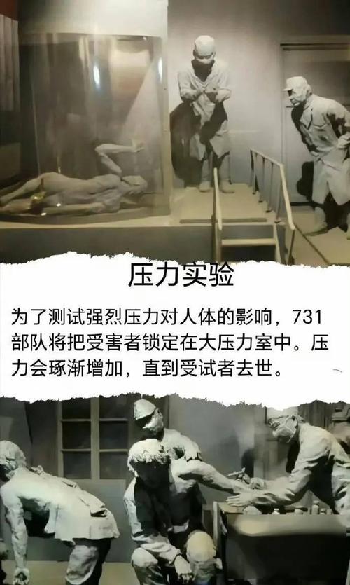 解密文件揭示日本731部队细菌战真相