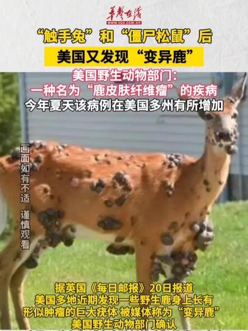 美国再现变异鹿，僵尸松鼠与触手兔的奇异世界