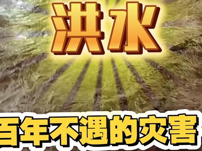 网传重庆百年难遇洪水传闻不实揭秘真相