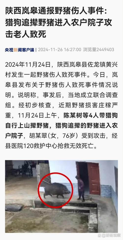 湖北一村民称遭老虎袭击 当地通报